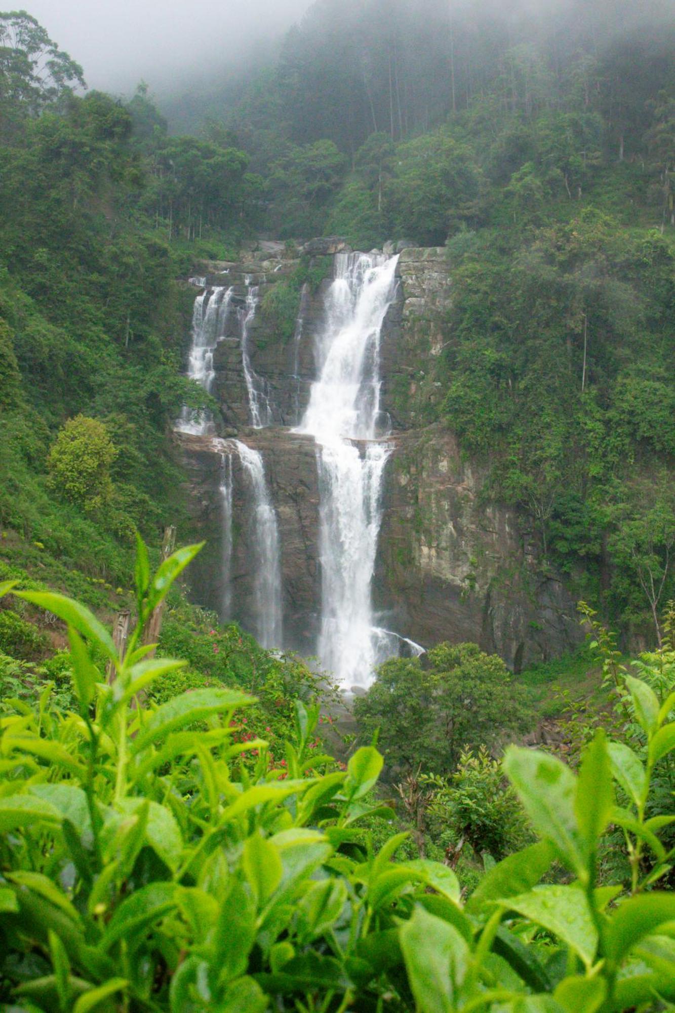 Ramboda Falls Plc Dış mekan fotoğraf